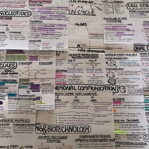30+ Pages AS & A-level Biology OCR A Summarised Revision Notes – Year 1 + 2