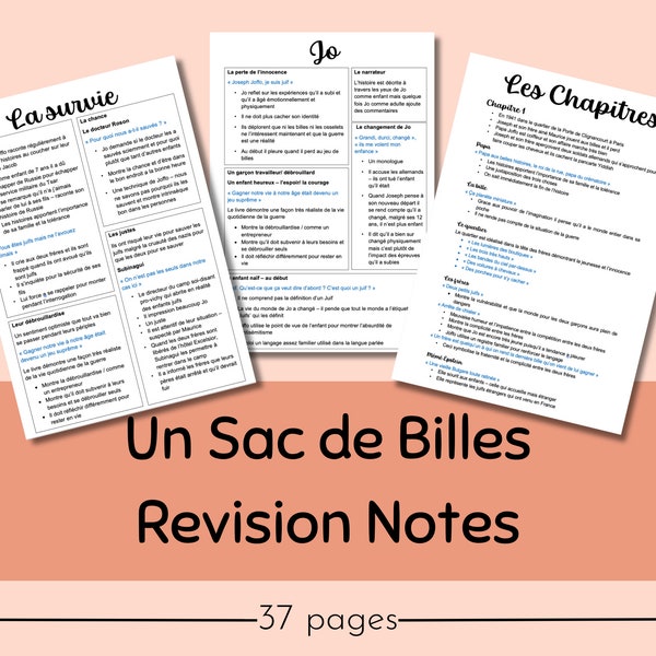 Un Sac De Billes A-level French Revision Notes