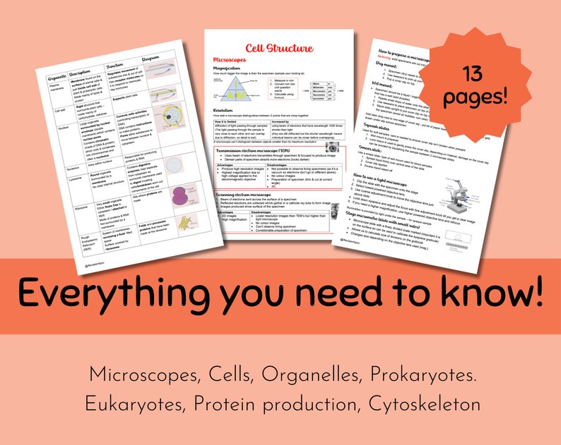 OCR A A-level Biology Cell Structure Revision Notes - Etsy Australia