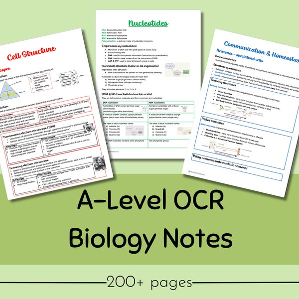 OCR A-level Biologie Revision Notes Jahr 1 + 2