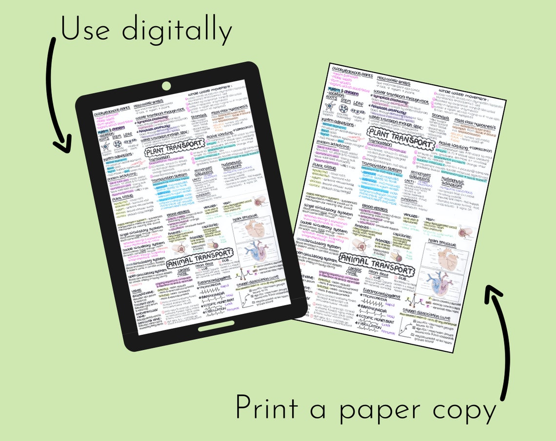 30+ Pages AS & A-level Biology OCR A Summarised Revision Notes – Year 1 ...