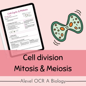 以下が含まれることがあります： ピンクの背景に、「Cell Cycle & Mitosis」と「Cell division Mitosis & Meiosis - Alevel OCR A Biology」というテキストが書かれた、細胞分裂のデジタルイラストです。