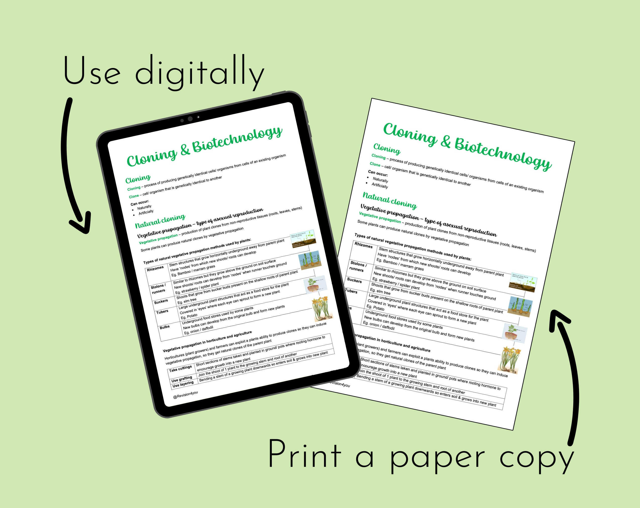 OCR A A-level Biology Cloning & Biotechnology Revision Notes - Etsy UK