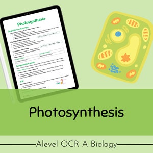 OCR A A-level Biology Photosynthesis Revision Notes