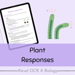 OCR A A-level Biology Plant Responses Revision Notes