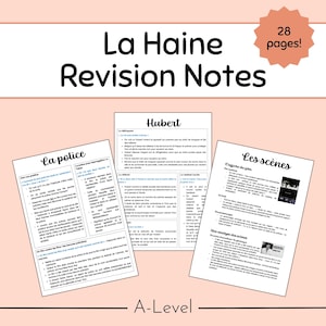 La Haine A-level French Revision Notes