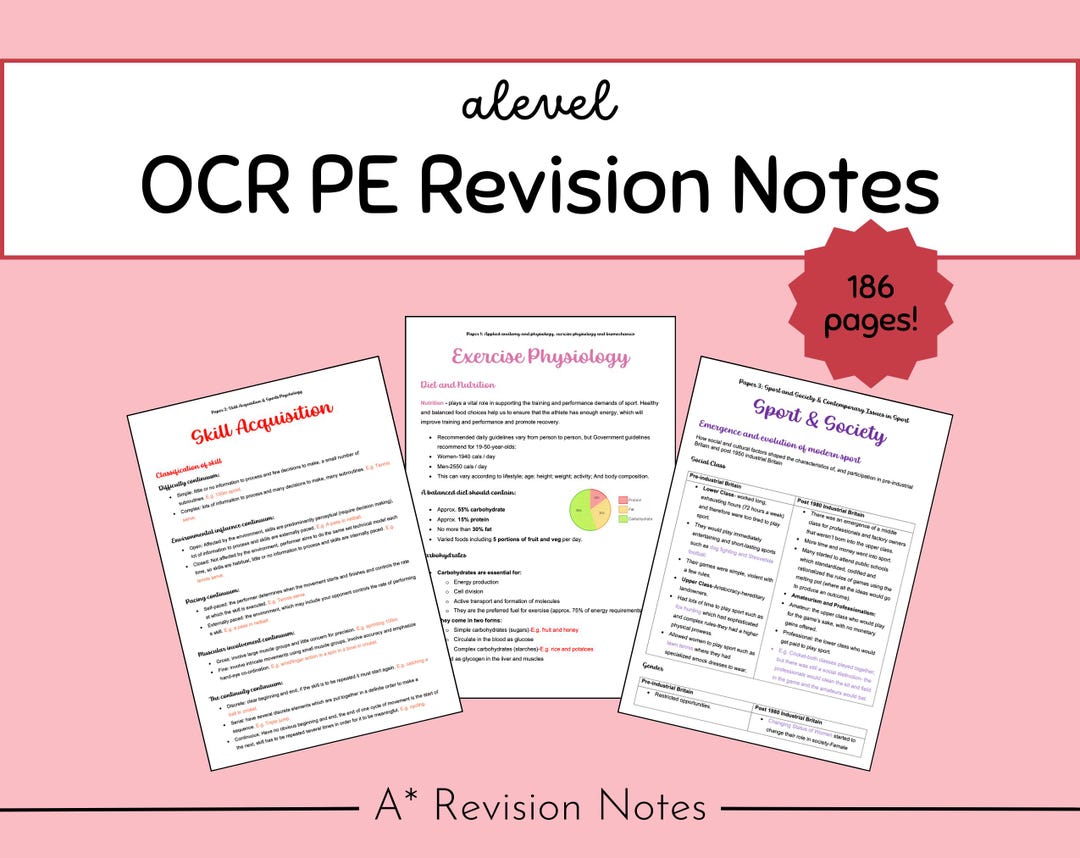 OCR A-level PE Revision Notes: Paper 1, 2 & 3 - Etsy UK