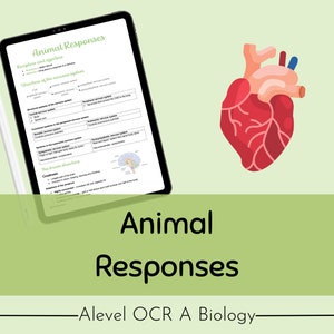 OCR A A-level Biology Animal Responses Revision Notes