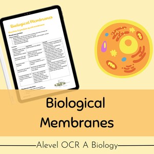 OCR A A-level Biology Biological Membranes Revision Notes
