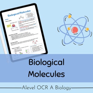OCR A A-level Biology Biological Molecules Revision Notes
