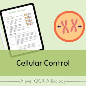OCR A A-level Biology Cellular Control Revision Notes