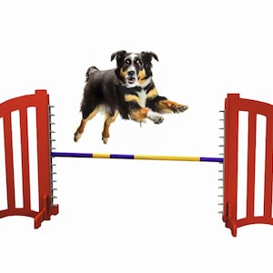 Dog Jump Set, Dog Agility Jump