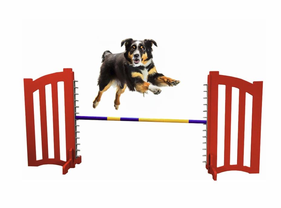 Agility Wing Jump Canada