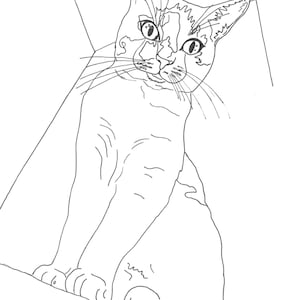 Cat4 Printable Coloring Page