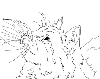 Cat2 Printable Coloring Page