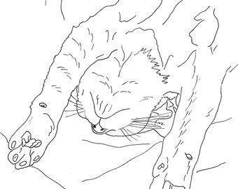 Cat1 Printable Coloring Page