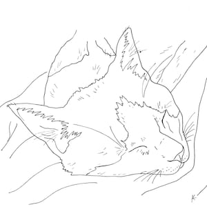 Cat3 Printable Coloring Page