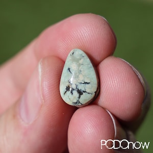 May include: A teardrop-shaped turquoise gemstone with a light blue-green hue and black veining. The polished stone is held between fingers, showcasing its natural patterns and textures. The gemstone is a unique piece of jewelry.