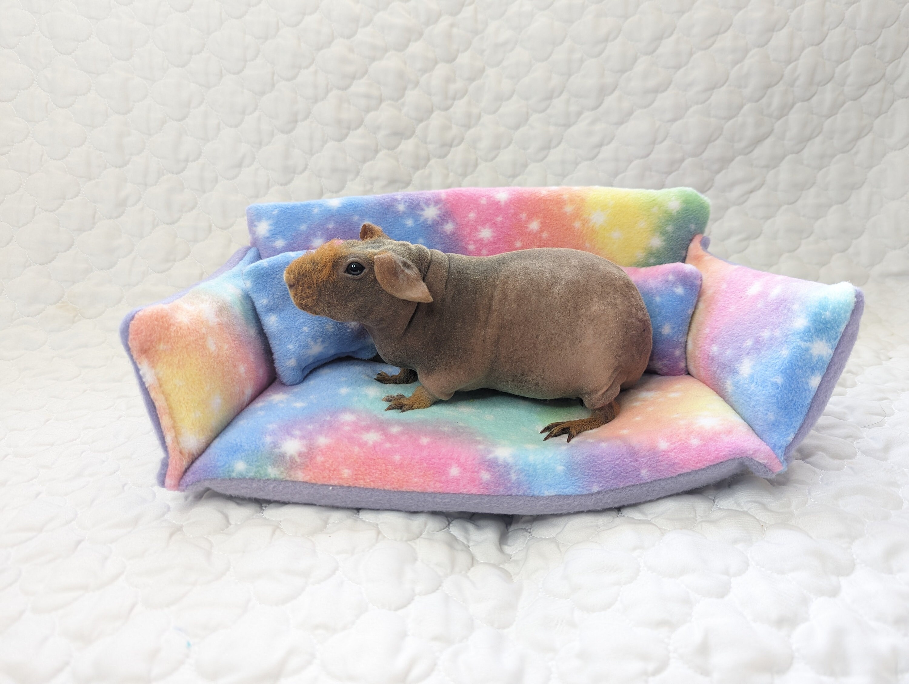 Smell My Feet Comfy Couch Personalized Gift for Pet Owner Guinea Pig Accessories  Bed for Ferret Chinchilla Hamster Iguana Lizard 