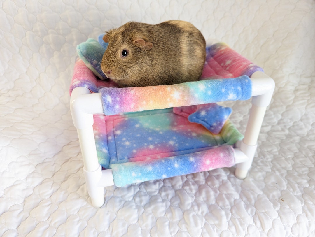 READY TO SHIP Guinea Pig Bunk Bed Guinea Pig Bedding Guinea Pig Hammock