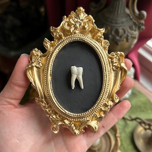 Handmade Plaster Cast of real human molar tooth Wall Ornament (Dark Gothic Creepy Decor wall art teeth weird oddities)
