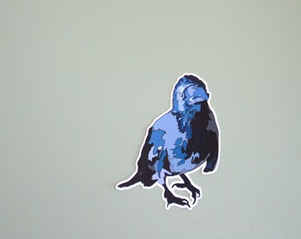 Hooded crow bird vinyl sticker