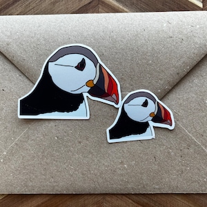 Pegatina de frailecillo / Regalo de frailecillo / Regalo de Islandia / Loro marino / Cara de frailecillo / Cabeza de frailecillo / Pájaro colorido / Pájaro bonito / Pájaro triste