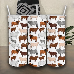Brahman Pattern 20oz Stainless Steel Tumbler Skinny Tumbler Brahma Cattle Tumbler 20oz Skinny Tumbler Western Cow Tumbler Brahman Cattle