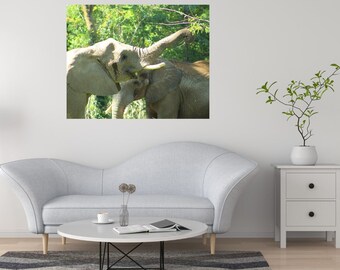 Elephant Printable Photos | Two Elephants Downloadable Images