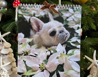 May include: A 2023 calendar featuring a white French bulldog puppy with pink flowers. The calendar has the text "2023 Calendar" and "@marzipanthefrenchic" printed on the bottom.