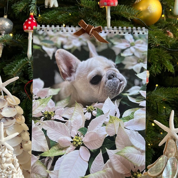 French Bulldog 2023 Calendar | Marzipan the Frenchie | Frenchie Wall Calendar | Holiday Gift |Marzipan