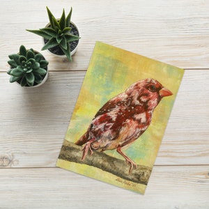 Erdbeerfink Grußkarte mit Original Kunst von Althia Prinsloo