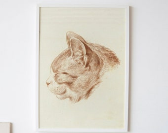Vintage Katzen Zeichnung: Antiker Haustier Druck für Zeitloses Wohn Dekor | Katzenportrait