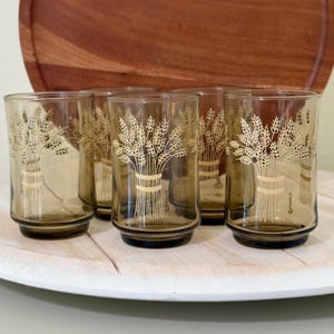 Vintage Libbey Wheat Sheaf Glasses (Set of 5) - Amber Smoke Farmhouse Glassware