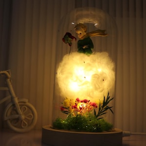 Puede incluir: Una cúpula de cristal decorativa con una figura en miniatura de El Principito sobre una nube esponjosa iluminada por luces cálidas. La base incluye flores y vegetación. Una pequeña bicicleta blanca está en el fondo.