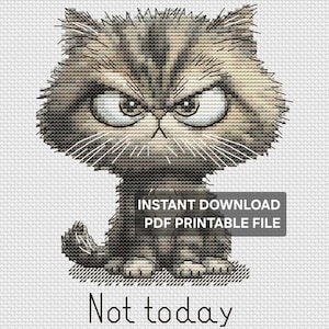 Może przedstawiać: Wzór haftu krzyżykowego przedstawiający zrzędliwego kota z wściekłym wyrazem twarzy. Kot jest szary i brązowy z dużymi oczami i zmarszczonymi brwiami. Tekst "Not today" znajduje się pod kotem, a nad nim "Instant Download PDF Printable File".