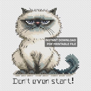 Op de afbeelding: Kruissteekontwerp van een chagrijnige kat met een strenge uitdrukking, met een lichtbeige lichaam, donkerblauwe accenten en de tekst "Don't even start!". Het ontwerp bevat een klein tekstvak met de tekst "Instant Download PDF Printable File".