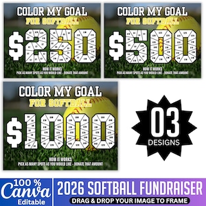 May include: Three softball fundraiser designs with the text "Color My Goal For Softball". Each design features a dollar amount (£250, £500, £1000) with spots to donate. The image also includes the text "How it works: Pick as many spots as you would like - donate that amount."