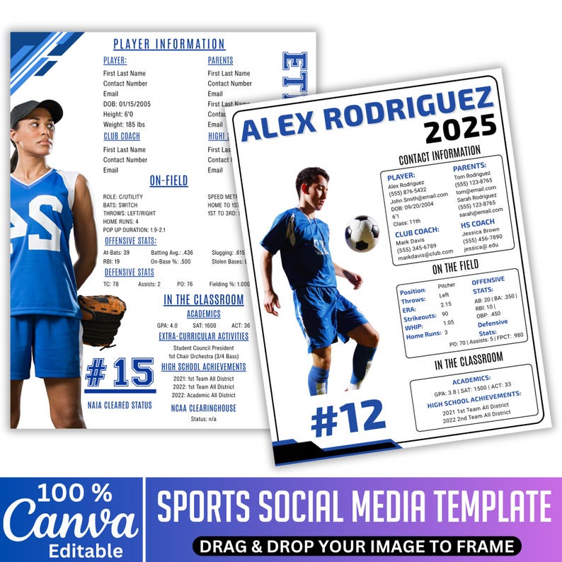 05 Sports Profile Sheet Template, Editable Individual Profile Sheet ...