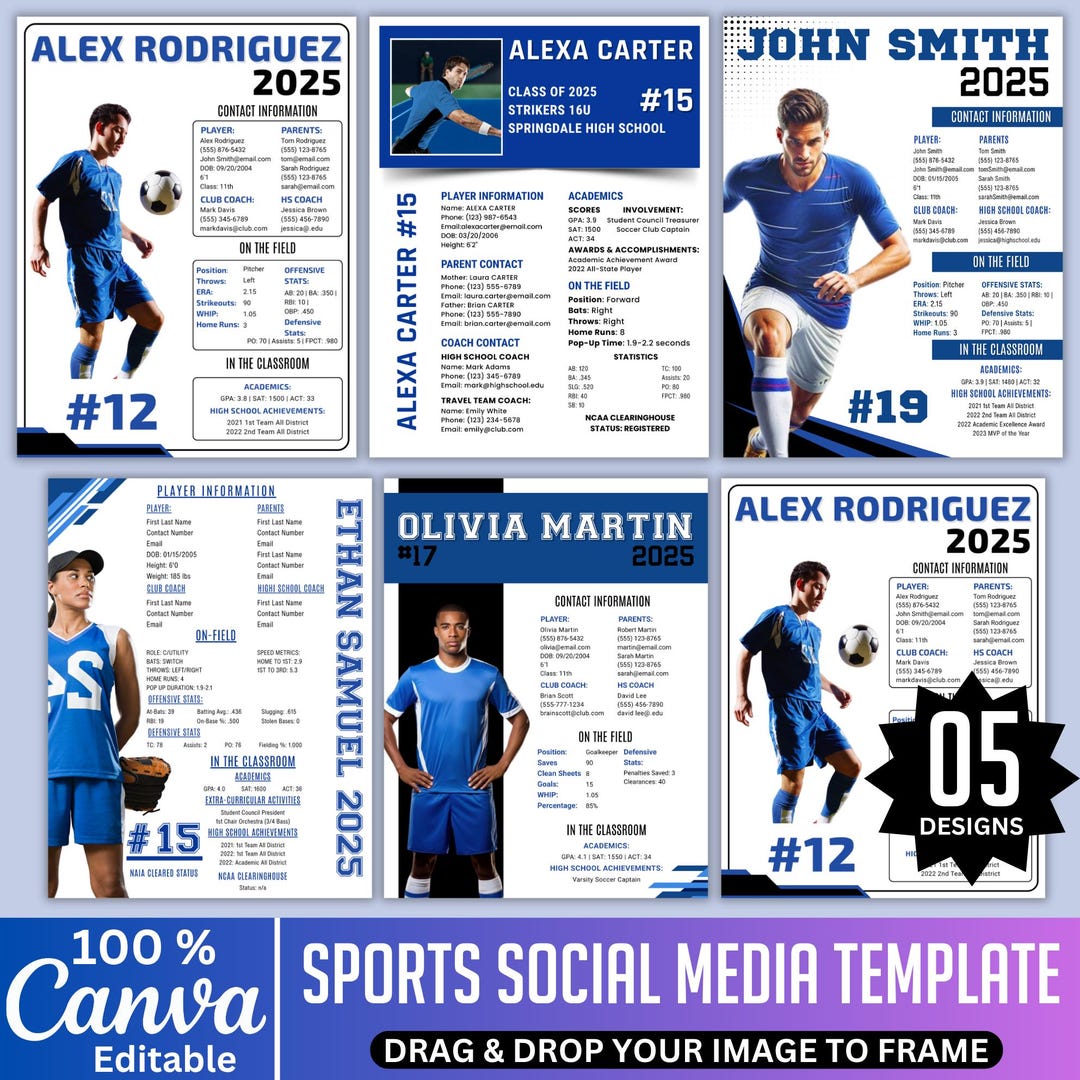 05 Sports Profile Sheet Template, Editable Individual Profile Sheet ...