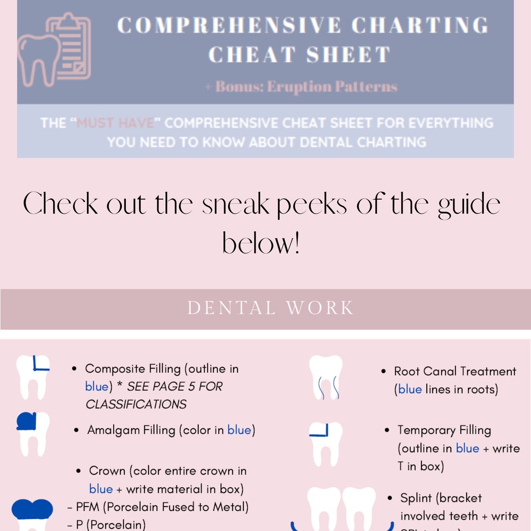 Comprehensive Dental Charting Cheat Sheet Ideal for Dental - Etsy Canada