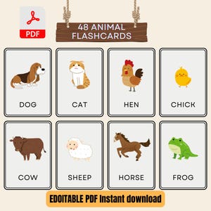 48 Animal Flashcards for Kids | Montessori Preschool Learning Cards | Toddler Animal Names | Digital Download Printable