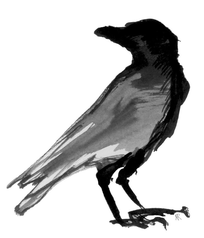 Postcard Raven image 2