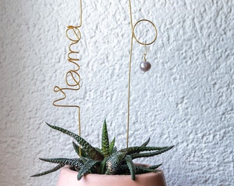 Indoor Personalized Plant Stakes for Decor in Copper for Mother's day
