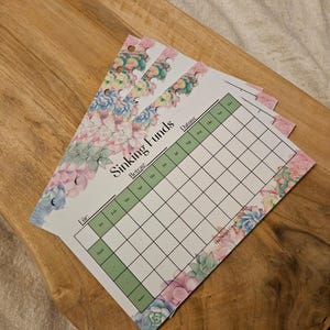 Könnte beinhalten: Ein Stapel Papier-Budgetplaner mit einem Sukkulenten-Blumenrand in Rosa-, Blau- und Grüntönen. Die Blätter sind mit Sinking Funds betitelt und enthalten Spalten für Datum, Betrag und Für sowie ein Raster für monatliche Eintragungen.