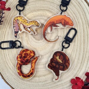 Może przedstawiać: Cztery przezroczyste breloki akrylowe z ilustracjami gadów. Breloki przedstawiają gekona lamparciego, jaszczurkę i dwa węże. Każdy brelok ma czarny zatrzask. Wyeksponowane na drewnianej powierzchni.