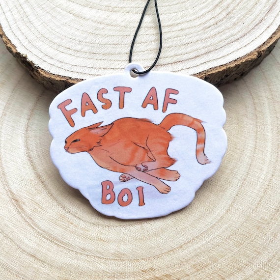 Fast Orange Cat Car Air Freshener - Peach Scented Pet Furry Car Air Freshener
