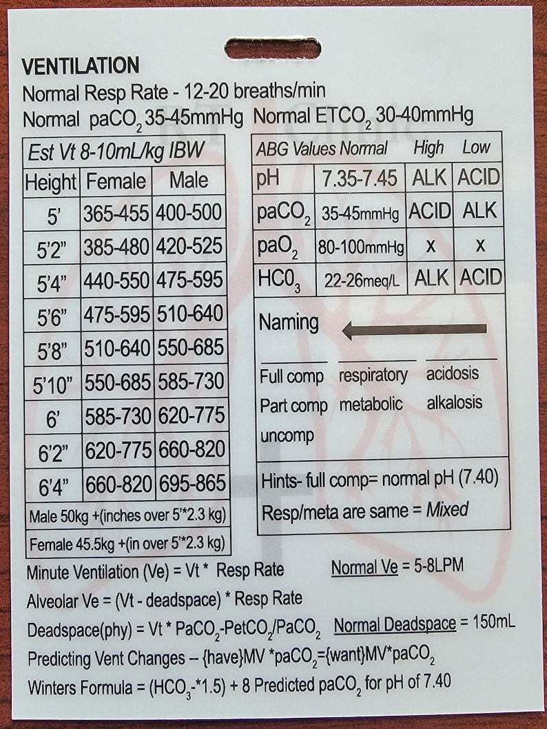 Two Oxygenation/ventilation Badge Buddies RT Clinic RN Respiratory
