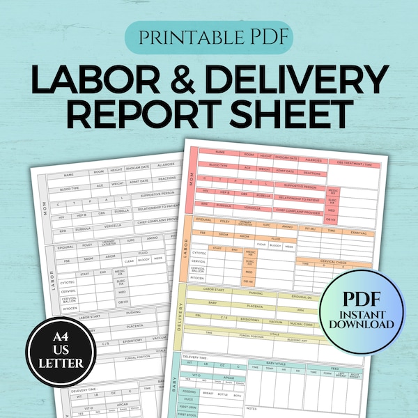 Labor and Delivery Nurse Report Template, L&D Report Sheet, Postpartum Nursing Brain Sheet, Mother and Baby Record Log, Printable A4/Letter