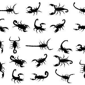 Scorpion SVG Bundle, PNG, Scorpion Silhouette, Scorpion Clipart, fichiers de coupe pour Cricut, Silhouette, Cameo, Decal, Vector
